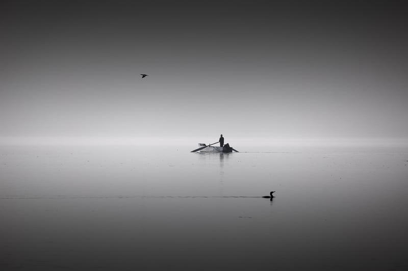 Softly Shared Mysteries