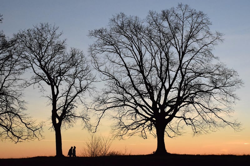 Whispers in Shadows